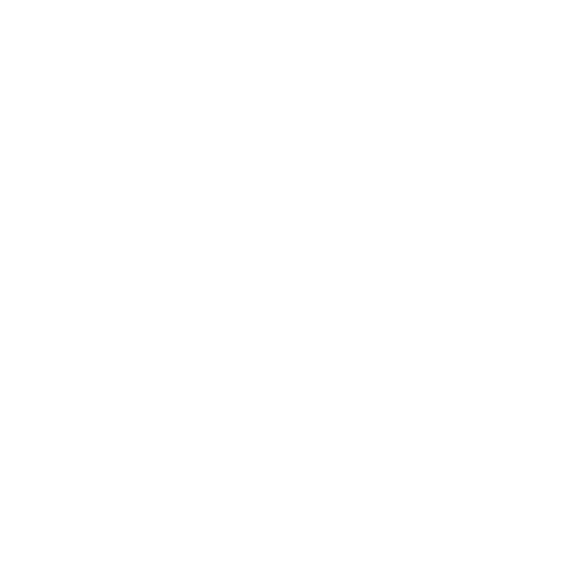 Boomerang blanc logo du Cégep